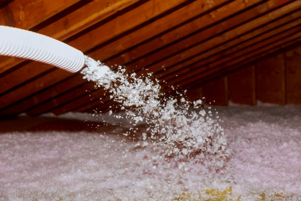 Best Professional Insulation Contractor  in Highland, IL